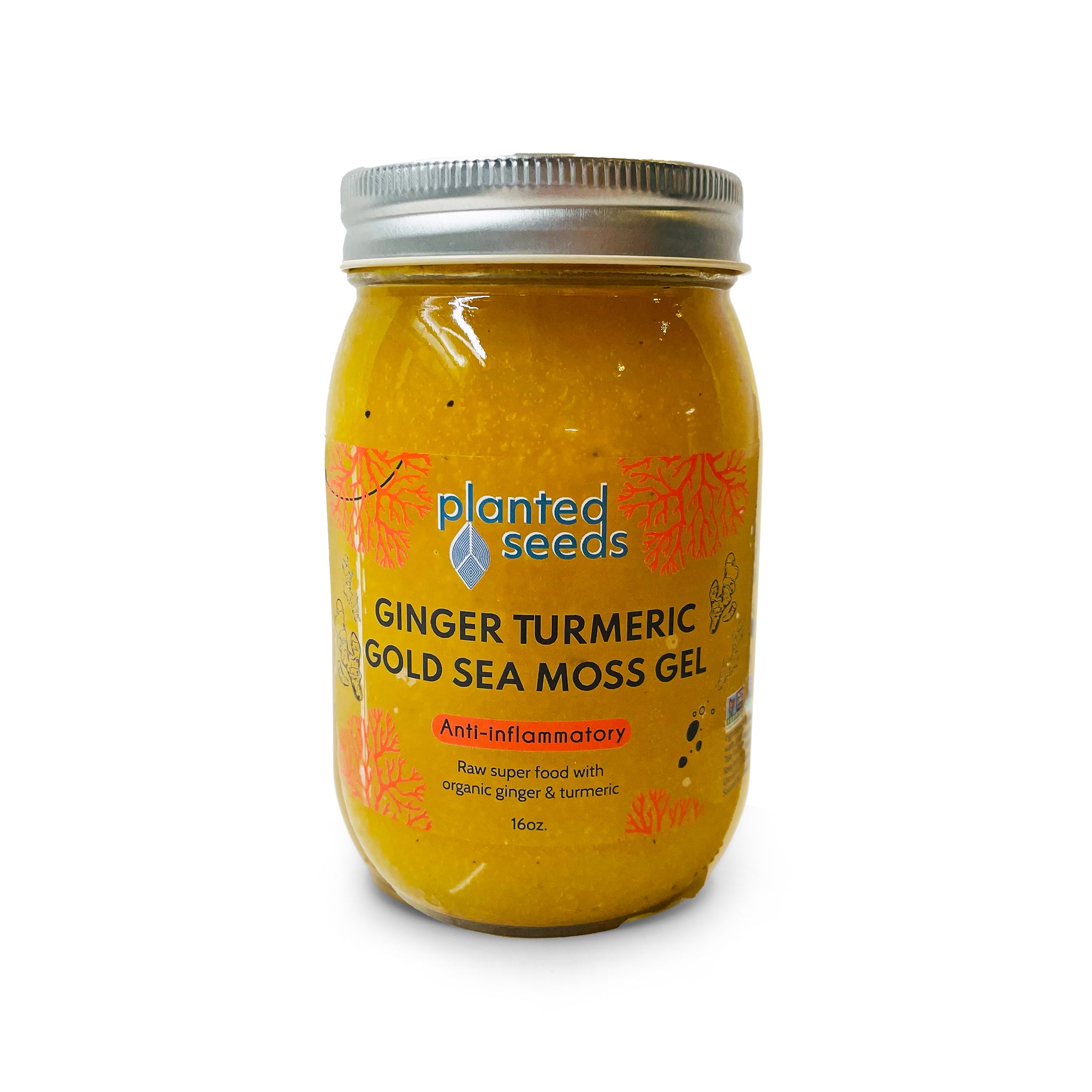 Ginger Turmeric Gold Sea Moss Gel - 16oz Jar.