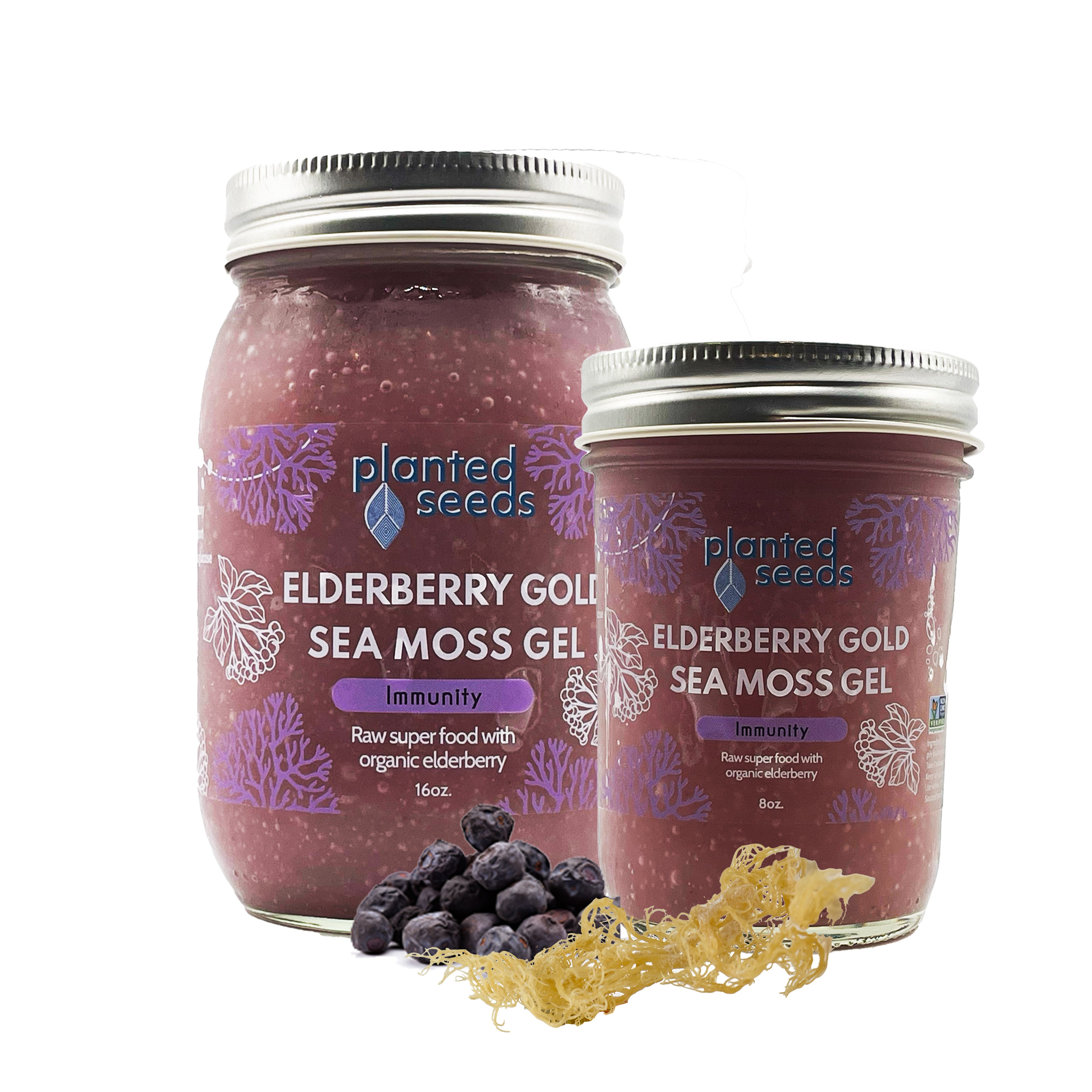 gold sea moss gel planted seeds Elderberry Gold Sea Moss Gel