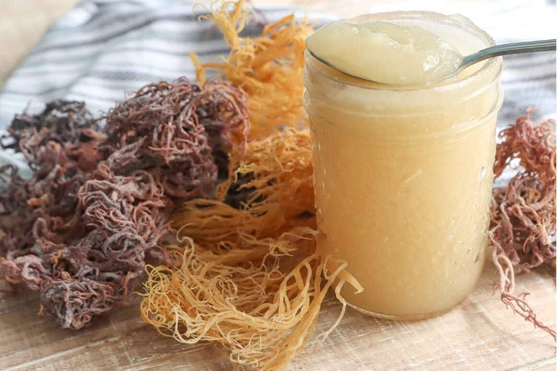 Planted Seeds Sea Moss Hair Gel
