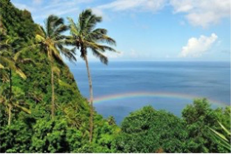 The Essence of the Sea