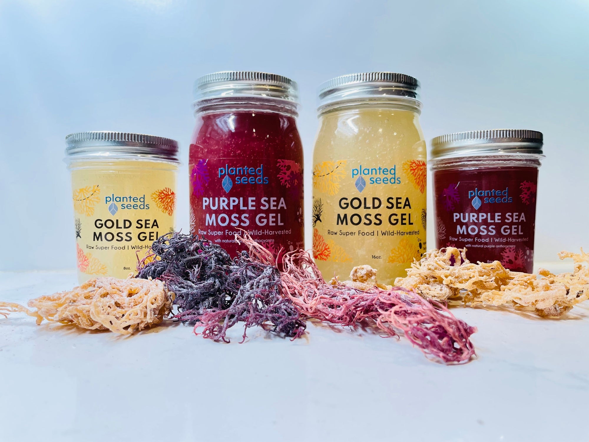 Purple and Gold Sea Moss Gel Collection