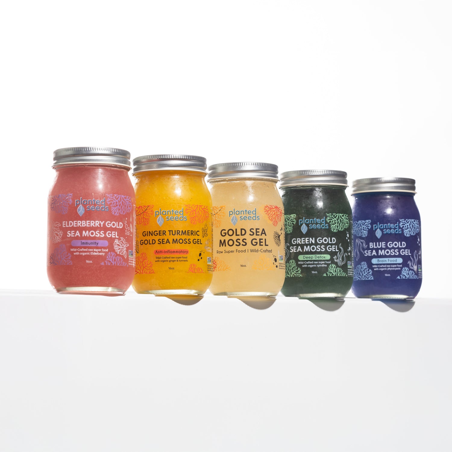 Sea moss gels - Fresh. Ready to enjoy.