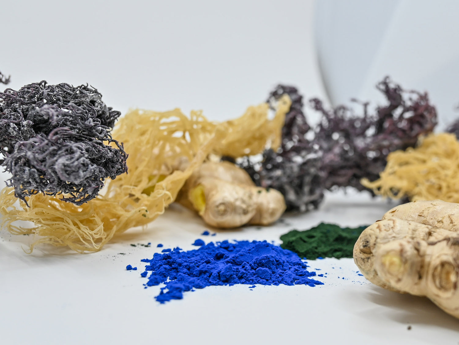 Get your daily dose of vitamin sea...