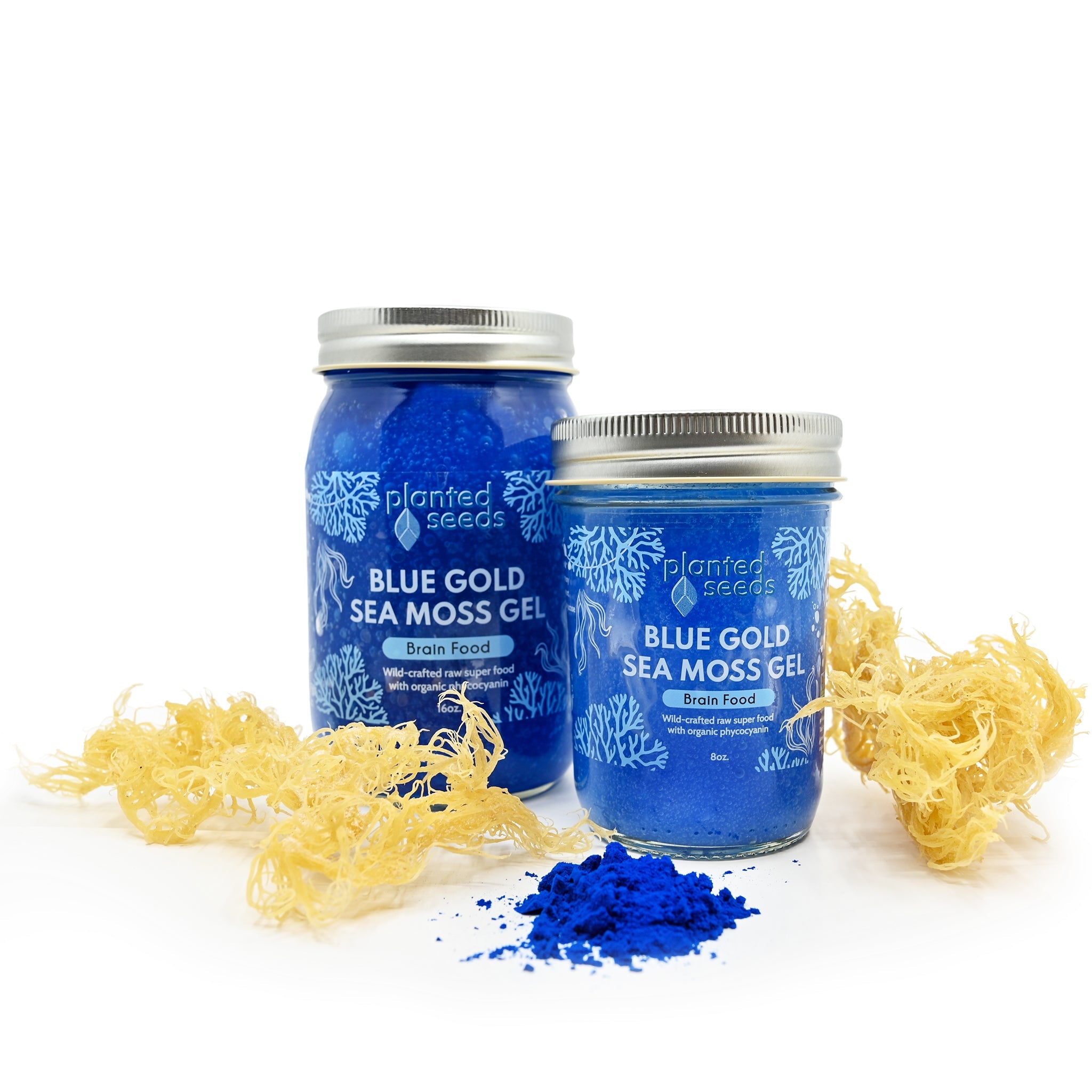 Blue Gold Sea Moss Gel - 8oz Jar - Planted Seeds Sea Moss