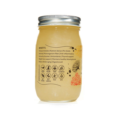 Gold Sea Moss Gel