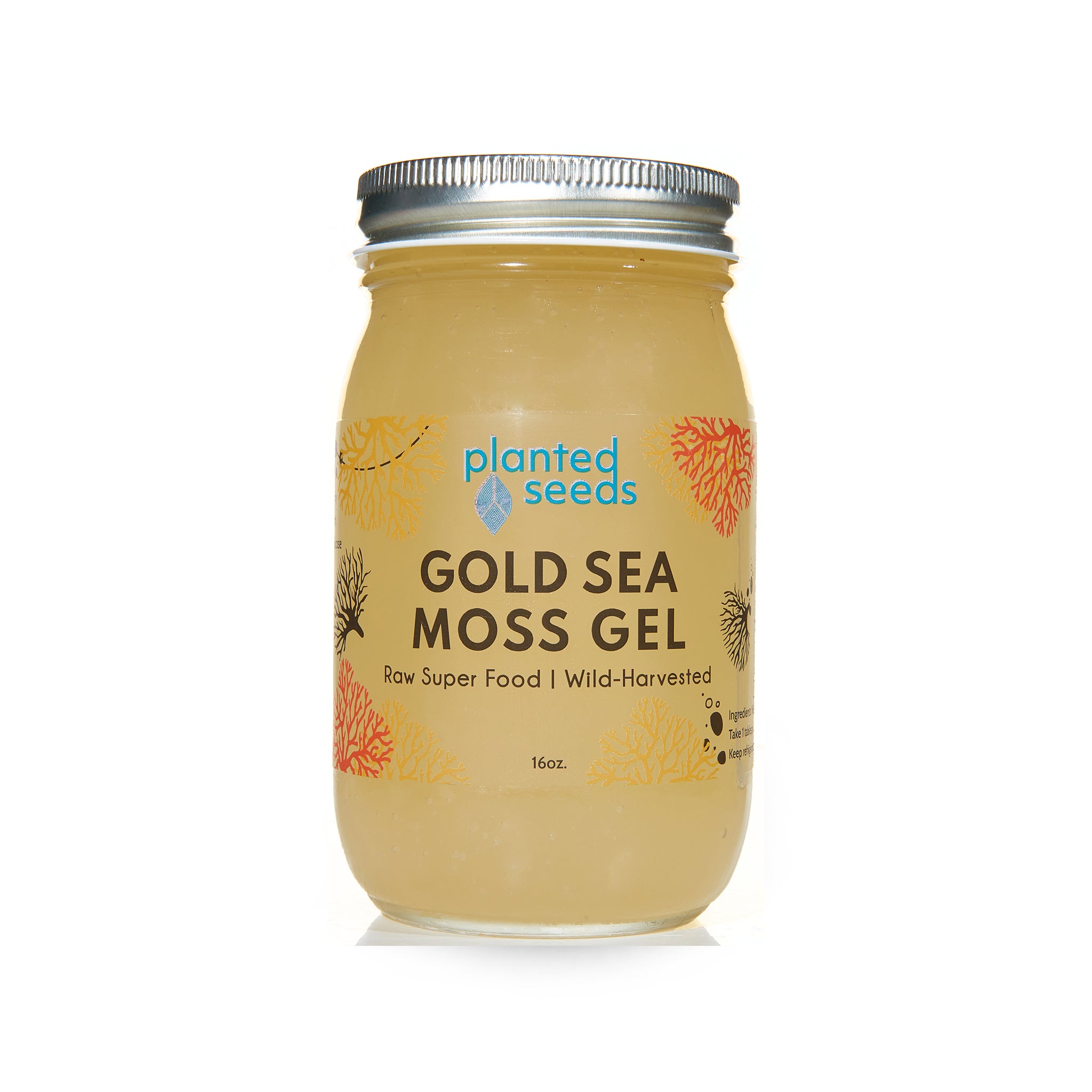 Gold Sea Moss Gel - 16oz Jar - Planted Seeds Sea Moss