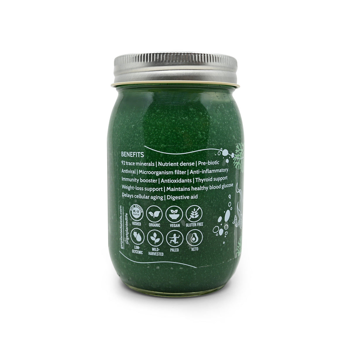 Green Gold Sea Moss Gel - 16oz Jar