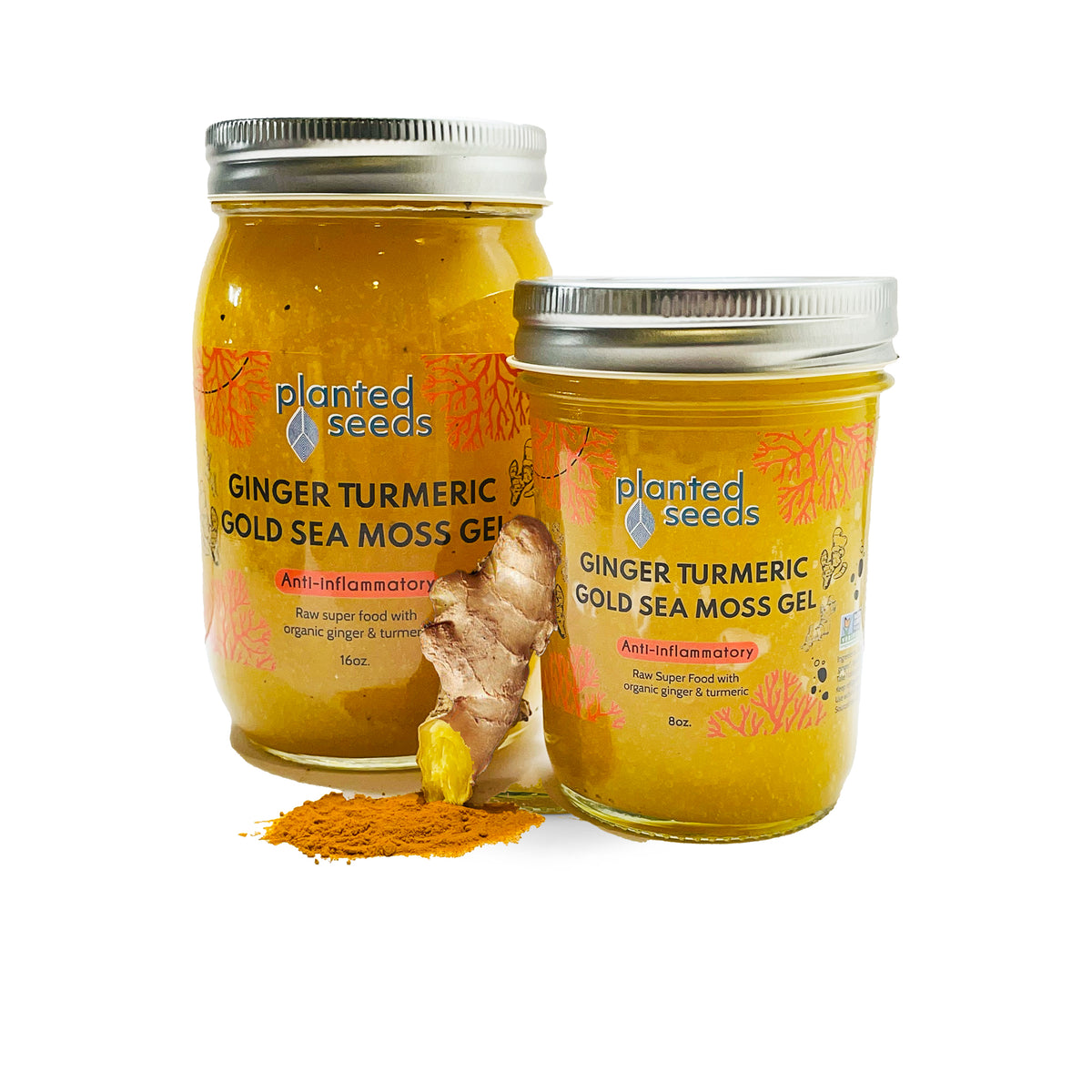 Ginger Turmeric Gold Sea Moss Gel - 8oz Jar
