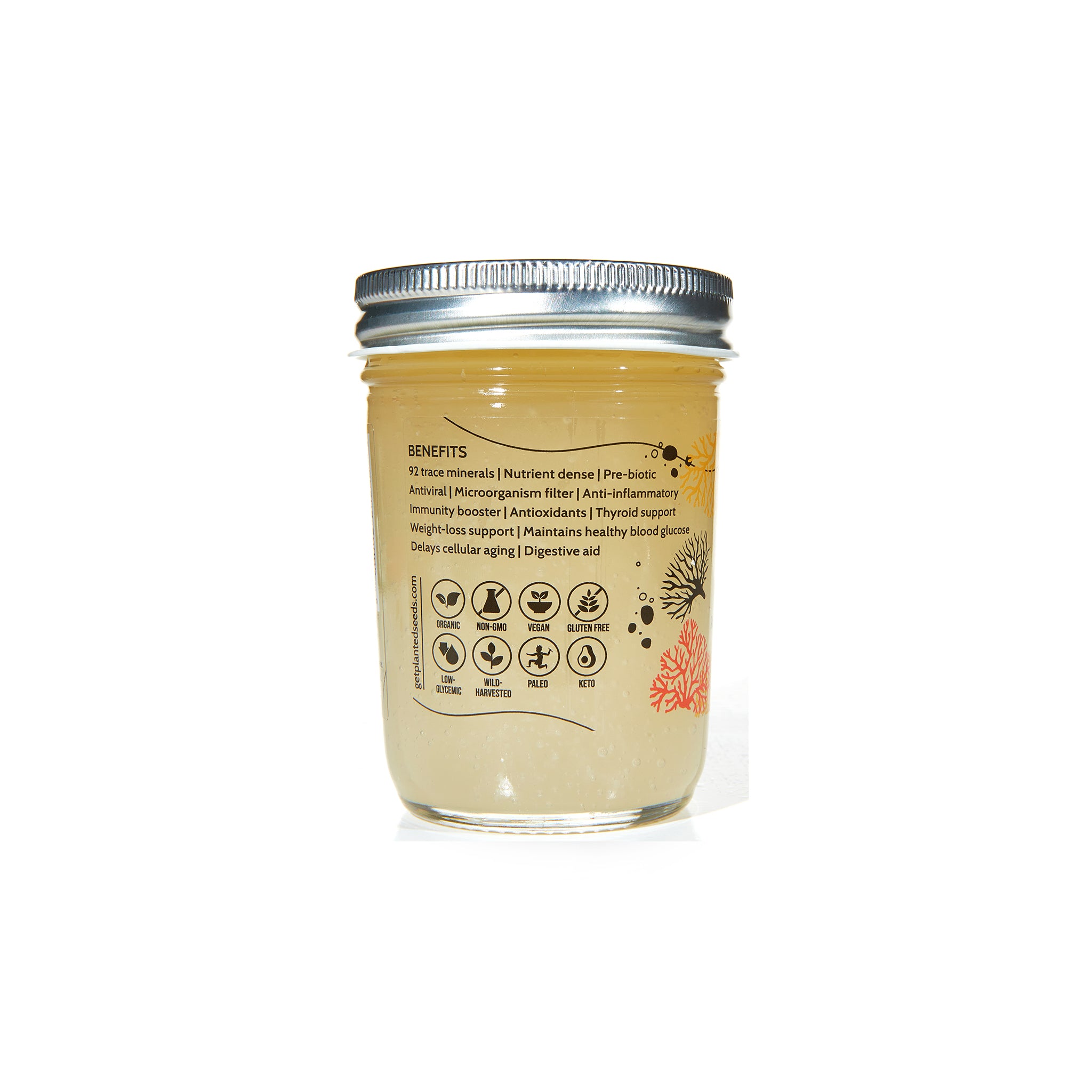 Gold Sea Moss Gel - 8oz Jar.