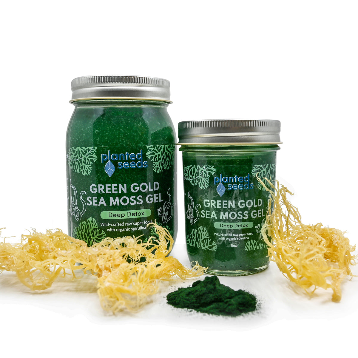 Green Gold Sea Moss Gel - 16oz Jar