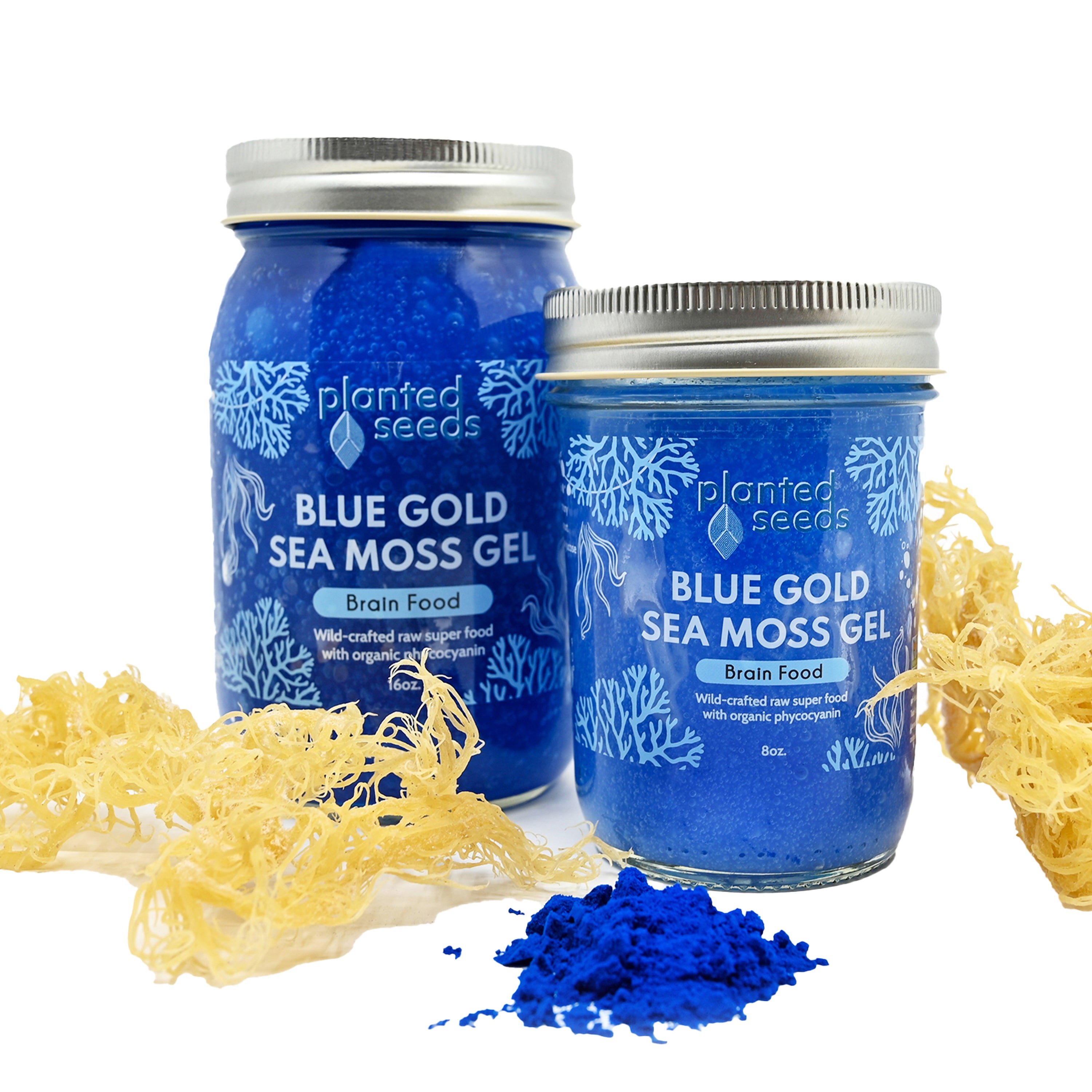Blue Gold Sea Moss Gel.