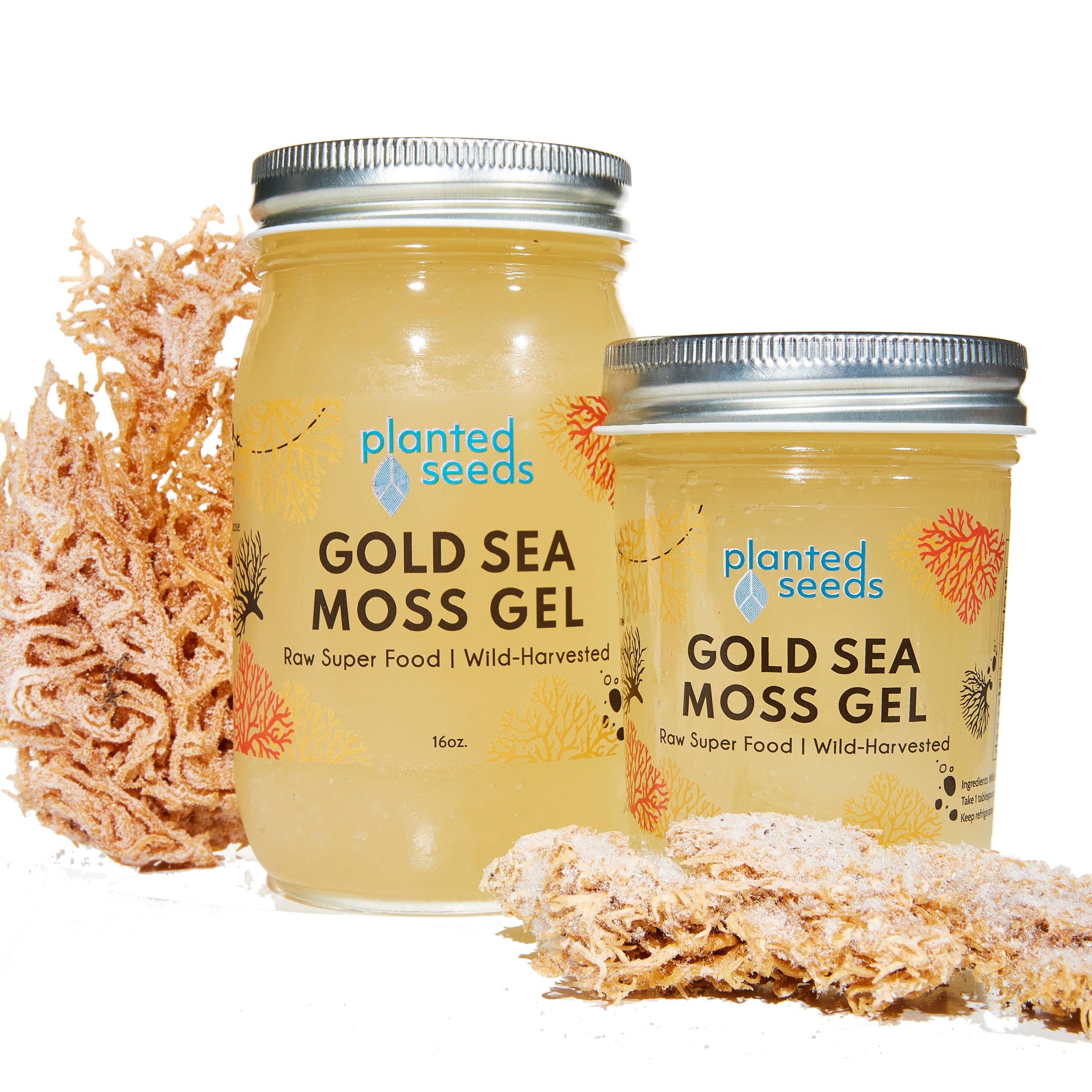 Gold Sea Moss Gel.