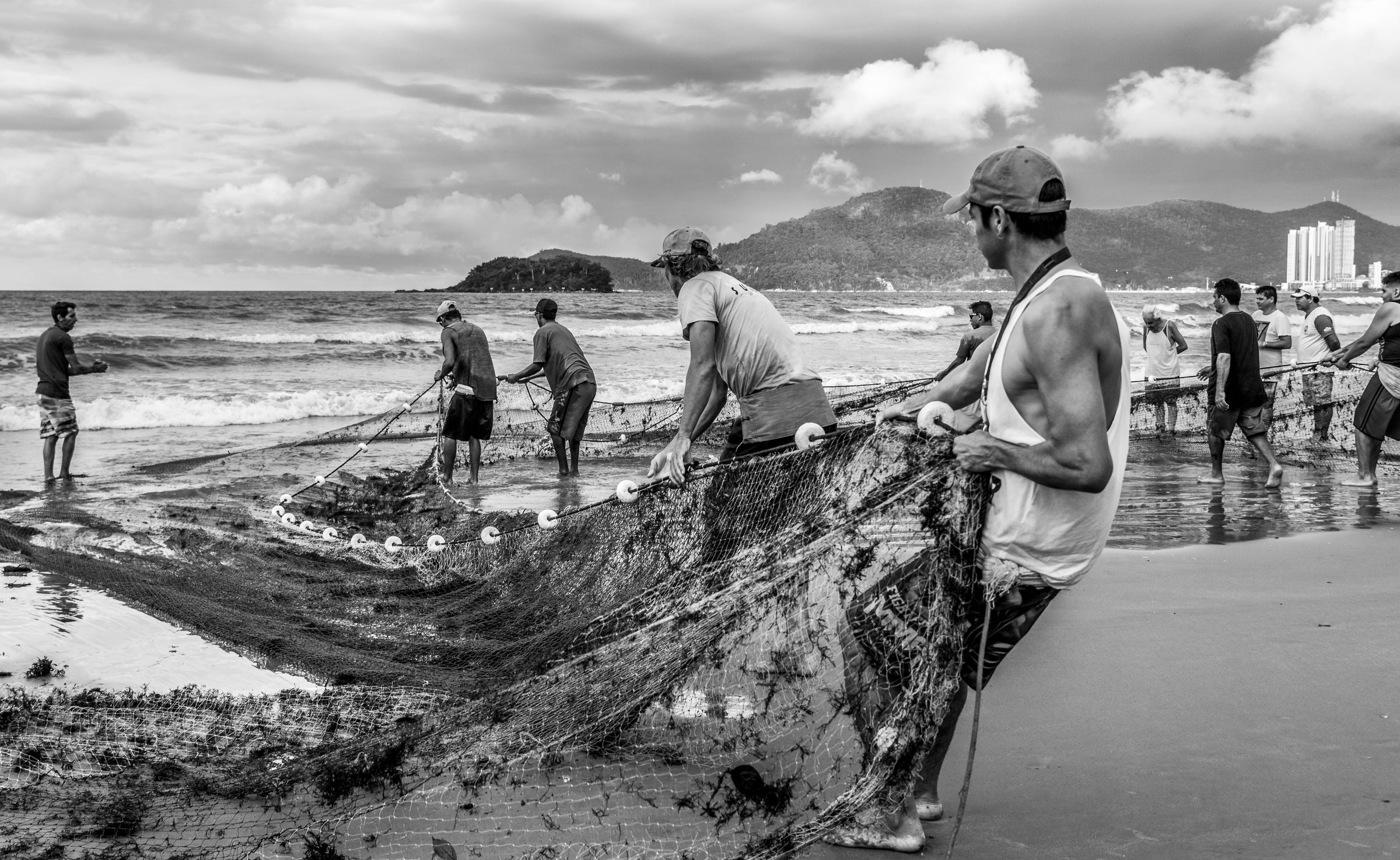 Sustainably harvesting Planted Seeds sea moss from the Caribbean
