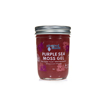 Purple Sea Moss Gel