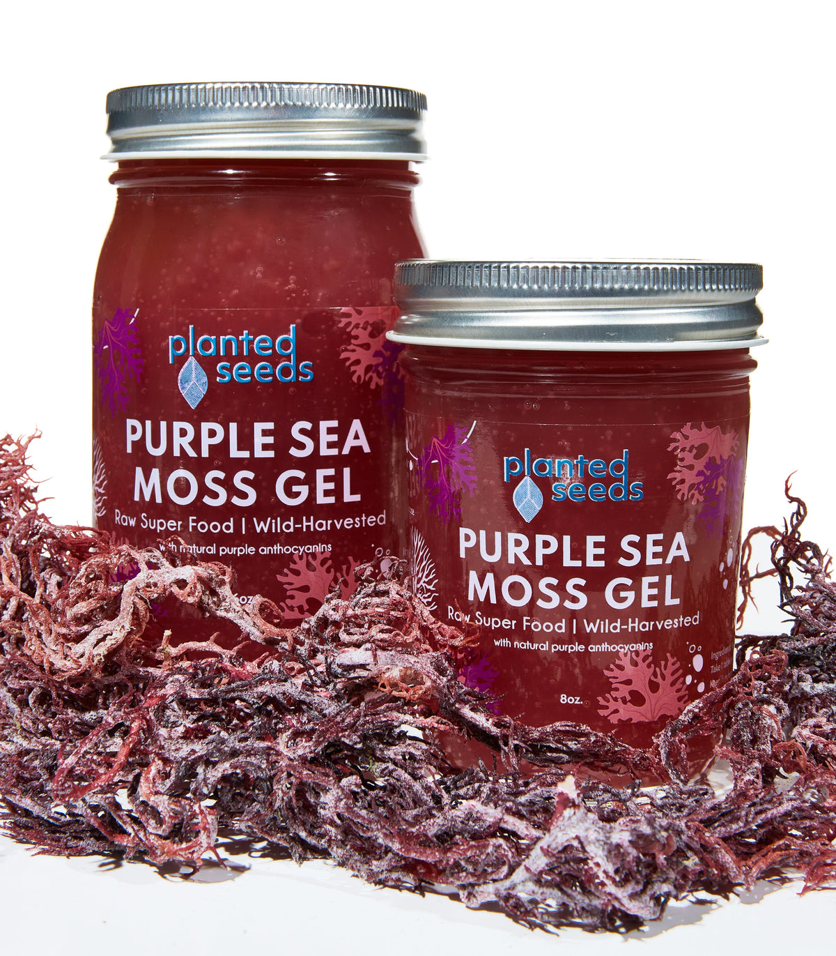 Purple Sea Moss Gel - 8oz Jar